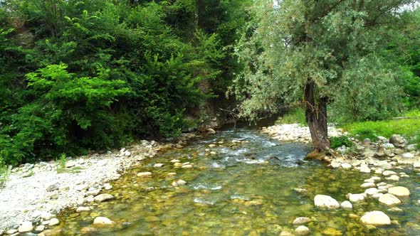 Beautiful stream view in the Italian Alps surrounder by very colourful nature in the summer alt