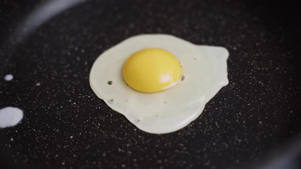 Egg Fried In A Pan Without Sunflower Oil alt
