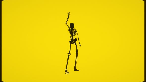 Animated Skeleton : Logo alt