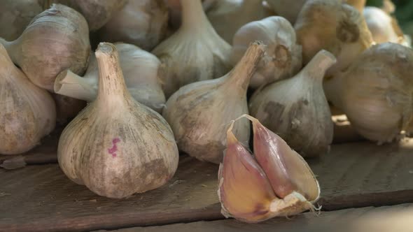 Rustic Juicy Eco Garlic Bulb on Wooden Background