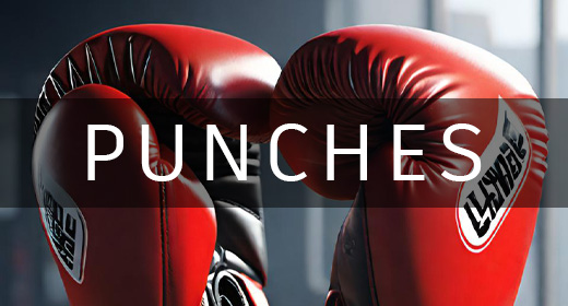 PUNCHES AND KICKS