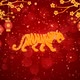 Chinese New Year Of The Tiger 03 - VideoHive Item for Sale