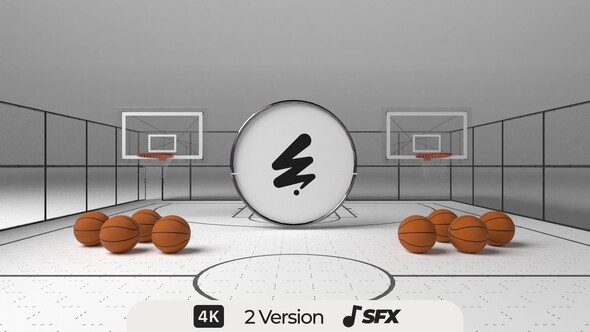 Basketball Logo Logo Stings template preview
