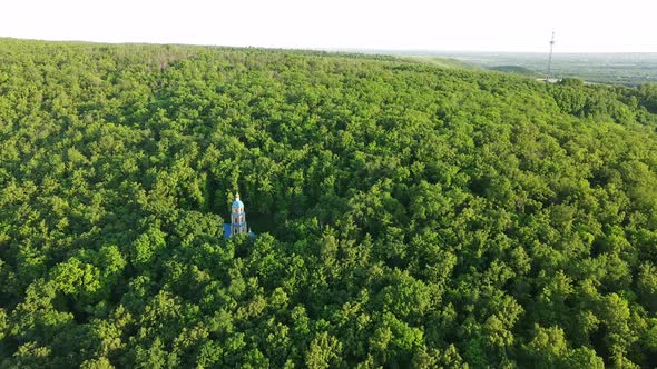 aerial view flying over the forest with beautiful views and green trees. alt