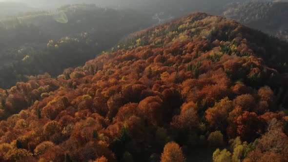 Aerial view of beautiful autumn forest 4k