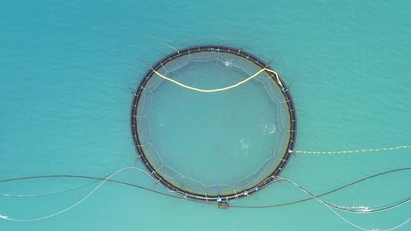 Farm Salmon Fishing in Norway alt