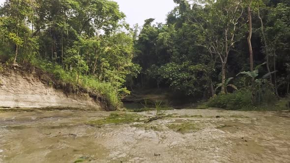 River in the Jungle alt