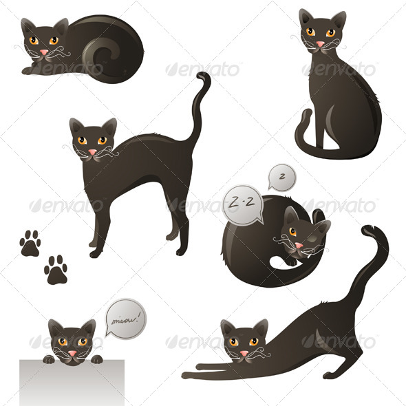 Black Cat - Animals Characters