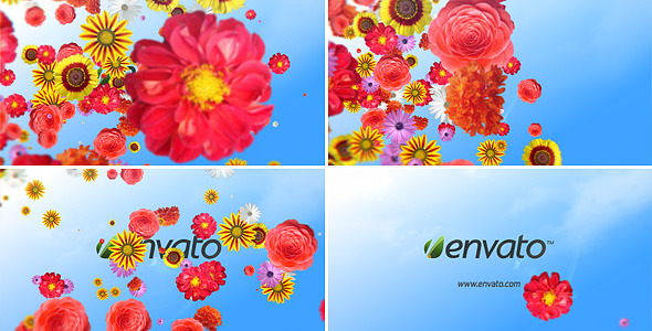 Summer Reveal - VideoHive 4558840