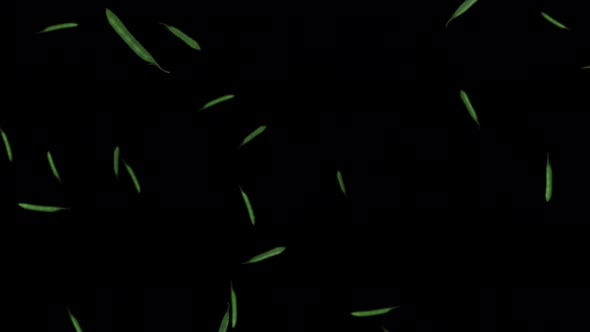 Animation of falling beans peas on a black background
