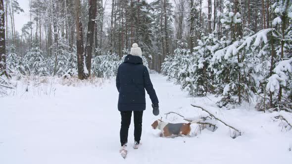 Young Girl with His Beagle Dog are Walks Through a Snowy Winter Forest alt