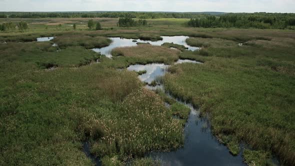 Aerial View of Bog Lands with White Herons Nesting Place alt