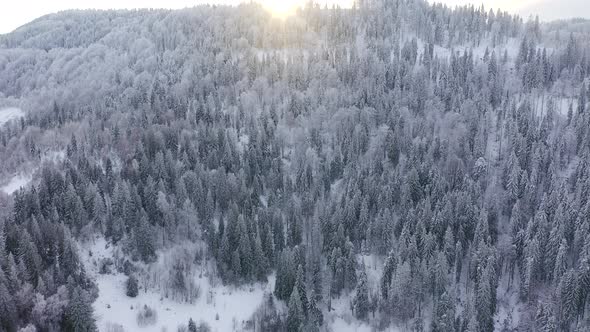 Aerial View of Snow Covered Trees in the Mountains in Winter alt
