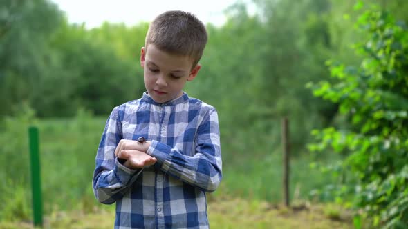 A Rhinoceros Beetle Runs on Boy Hand alt