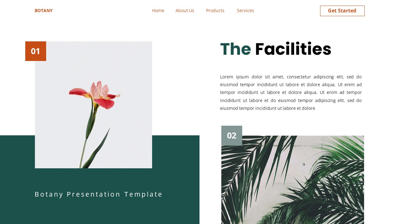 Botany - Botanical Google Slide Templates, Presentation Templates ...