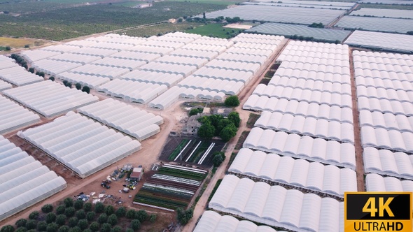 Huge Greenhouse Complex Overview