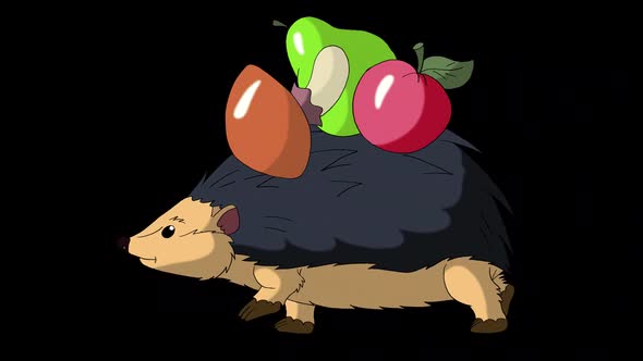 Hedgehog walks and carries apples and mushrooms alpha matte alt