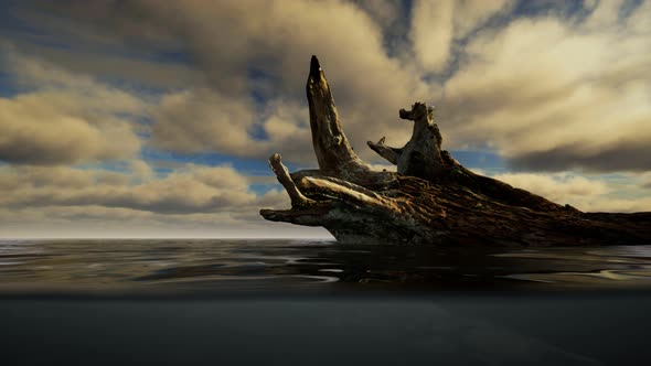 Ocean Seascape with Sky and Ocean Wave Splitted By Waterline to Underwater Part alt