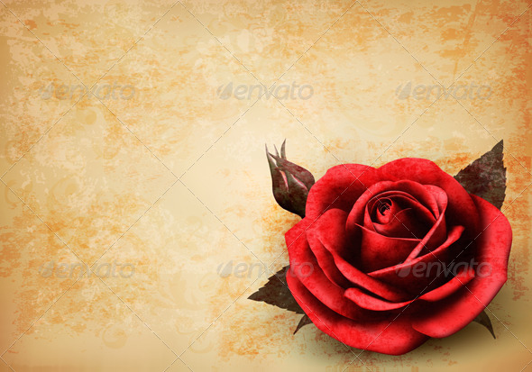 Retro Background with Red Rose with Bud - Flowers & Plants Nature
