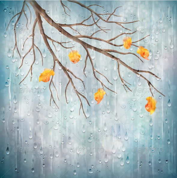 Vector Autumn Rain Background Tree Branch - Seasons Nature