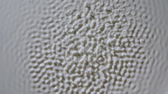 Wave Motion of the Surface of a White Viscous Liquid of Milk When Excited By Vibration alt