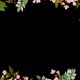 Floral Frame with Transparency - 2 Clips - VideoHive Item for Sale