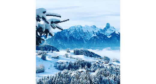 Swiss Winter Wonderland