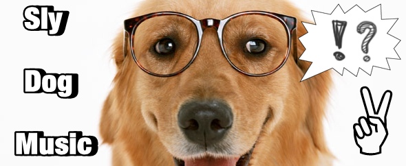 Audiojungle%20website foto%20hund%20mit%20brille%20590x242%20mit%20schrift