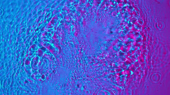 Super Slow Motion Abstract Shot of Splashing Neon Water at 1000Fps alt