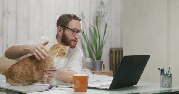 Smiling Businessman in Glasses Making a Video Conference on a Laptop