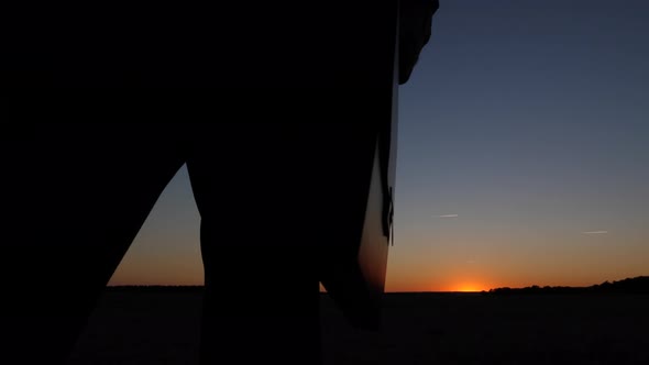 Silhouette of Businessman with Briefcase Walking at Sunset alt