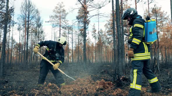 Forest Ground is Getting Damped Down By Firemen After the Fire, Stock ...