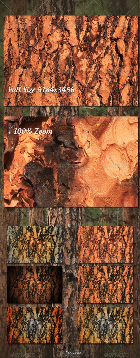 Pine Bark Texture - Wood Textures