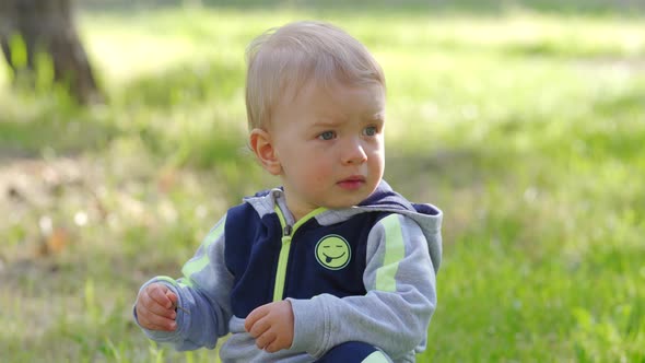 Small Boy in the Summer Park on the Grass 1 alt