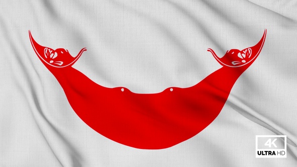 Easter Island Rapa Nui Flag Waving Slowly Looped alt