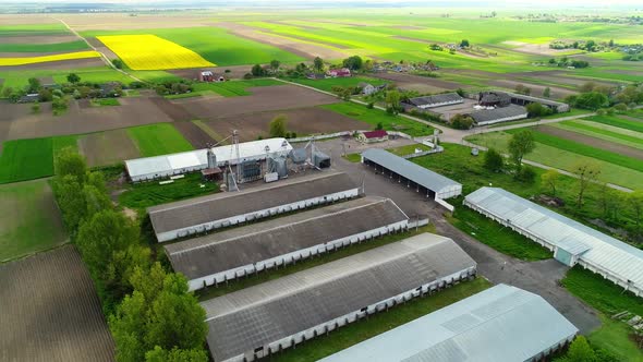 Aerial View of a Large Farm with Cows in the Middle of the Village and Fields