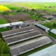 Aerial View of a Large Farm with Cows in the Middle of the Village and Fields - VideoHive Item for Sale