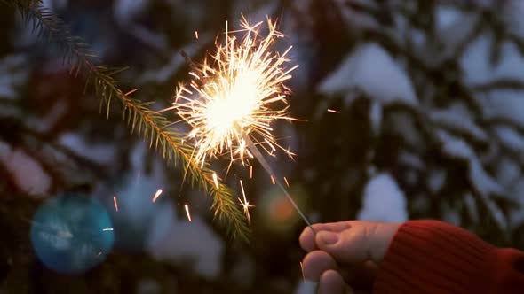 Burning Sparklers on the Christmas Tree in the Winter Forest alt