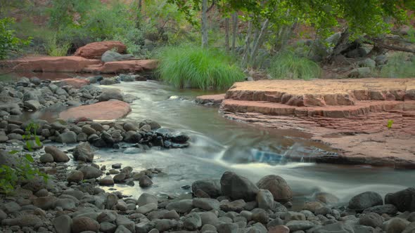 Creek Through Forest Scenic Water Timelapse Wide Shot