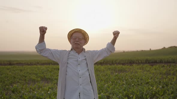 Old Man Stands on the Corn Field and Makes Deep Breath alt