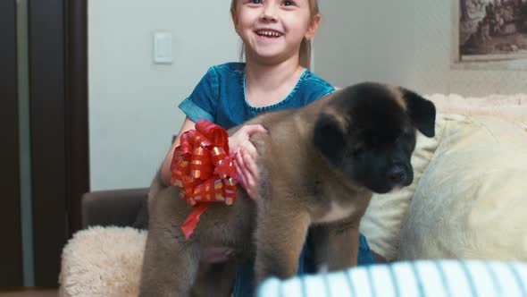 Smiling girl hugging puppy with ribbon