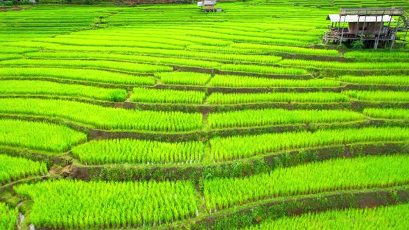 Aerial video of drones flying over rice terraces alt