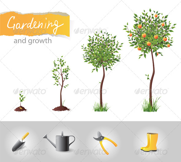 Gardening and Growing Tree - Flowers & Plants Nature