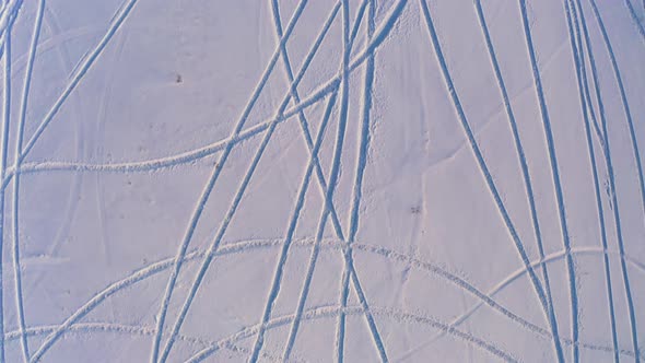 A Small Snowcovered Glade with Many Ski Trails and Single Christmas Trees Against the Background of