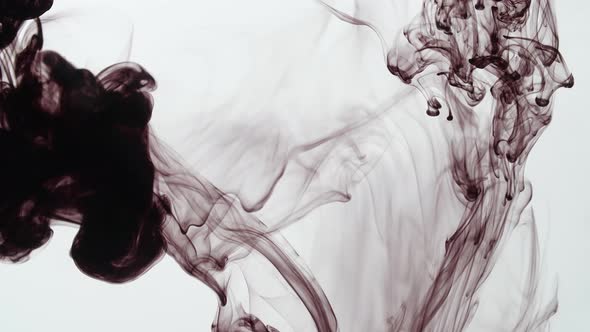 Black Ink Dissipating In Water On A White Background alt