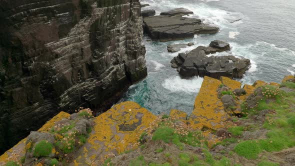 A slow tilting shot gently rises to reveal a seabird colony on a dramatic, sheer sea cliff as turquo alt
