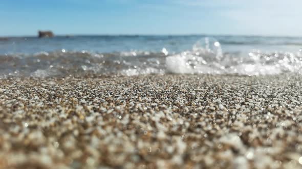 Slow Motion Footage of Shells Moving in Sea alt