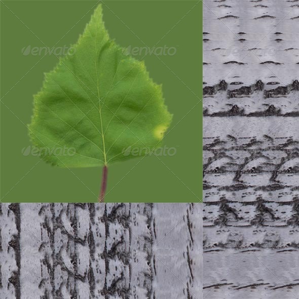 Birch Leaf And - 3Docean 4599133