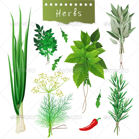 Herbal Bunches - Food Objects