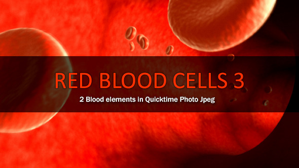 Red Blood Cells 3
